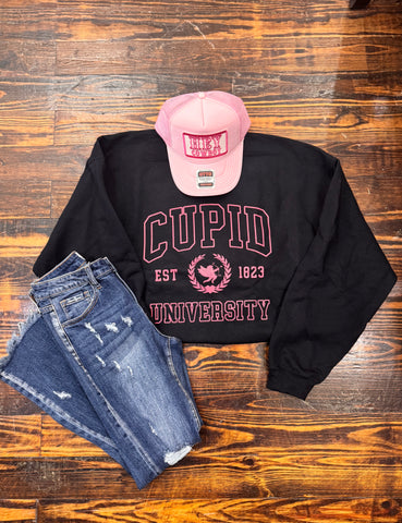 Cupid University