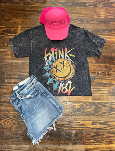 BLINK 182 RAINBOW TEE